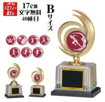 トロフィー：BW2413B